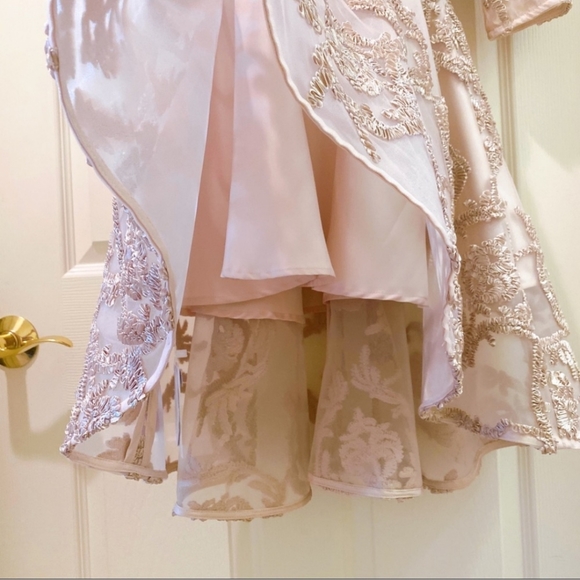 Mesh Dress - Picture 6 of 6